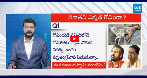 Big Question Special Debate On TTD Gaushala
