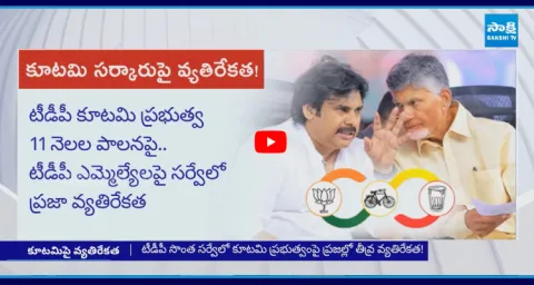 Sensational Survey On TDP And Janasena MLAs Performance