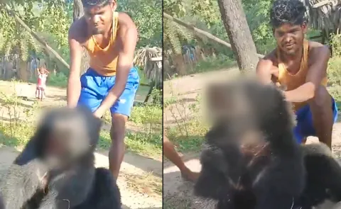 Villagers Attacked By Bear In Chhattisgarh