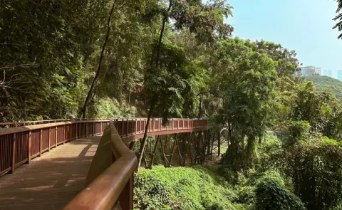 The Malabar Hill Walkway Mumbai attracts the tourists