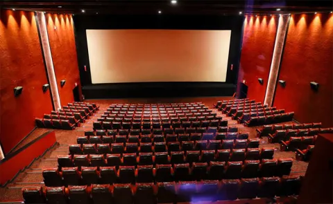 Business Ecosystem of Multiplex Movie Theaters