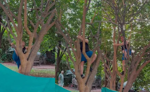 Salman Khan Climbs a Mulberry Tree, Video Goes Viral