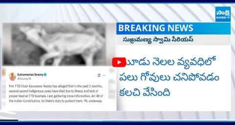 Subrahmanya Swamy anger over Tirumala Cows Incident
