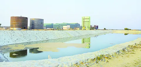 పామాయ