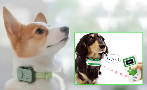 Smart gadgets for pet care