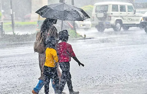 Light rains in the state for two days