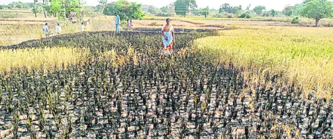 మంటలం