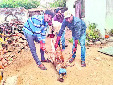 జలం క