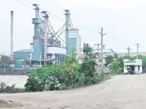 రైస్‌