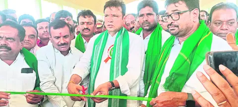 కోతలు