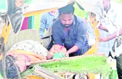 బస్సు