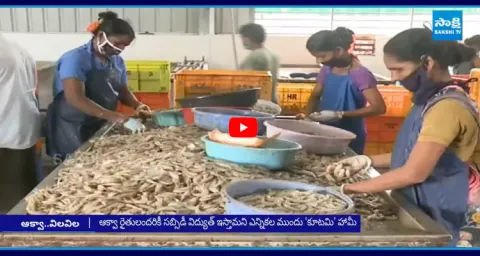 Aqua Farmers Problems In Andhra Pradesh