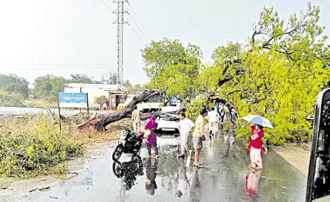 Heavy Rains In Andhra Pradesh