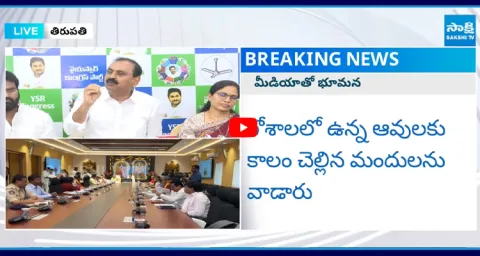Bhumana Karunakar Reddy Strong Reply To TTD Chairman And EO In Goshala Incident