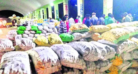 పడిపోతున్న నిమ్మ ధర