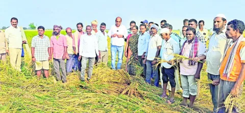 రైతులను ప్రభుత్వం ఆదుకోవాలి