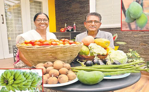 Sakshi special story about Bal Reddy organic backyard gardening