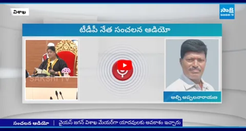 TDP Leader Alsi Appalanarayana Sensational Audio 