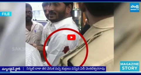 Chandrababu Govt New Strategy On Ys Jagan Airport Attack Case 