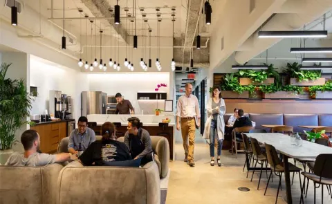 Coworking Space Trend In Hyderabad Different Organizations In One Place