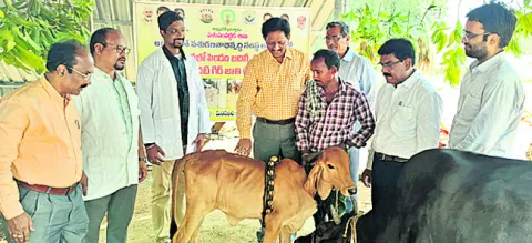 పాల ఉత్పత్తి పెంపే లక్ష్యం 