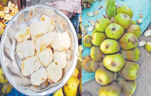 Thousands of families are employed through the ice apples business 