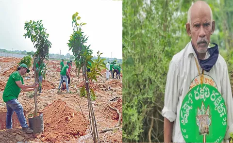 Great tribute to padma sro Vanajeevi Ramayya with saplings