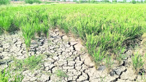 ఫలించిన రైతుల ఆందోళన 