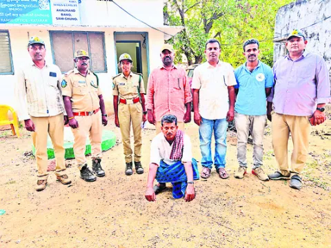 ఎలుగుబంటి మృతి కేసులో ఒకరి అరెస్ట్‌