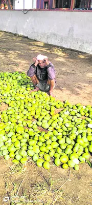 అకాలం