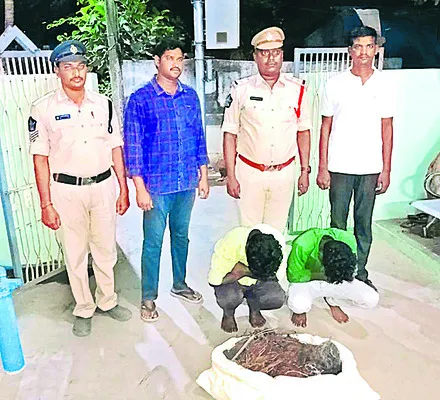 కేబుల్‌ వైర్ల దొంగలు అరెస్టు 