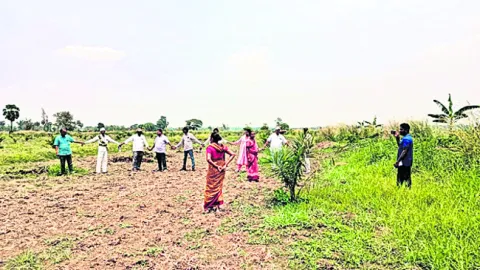 ఉద్రిక్తతల నడుమ పామాయిల్‌ మొక్కల తొలగింపు