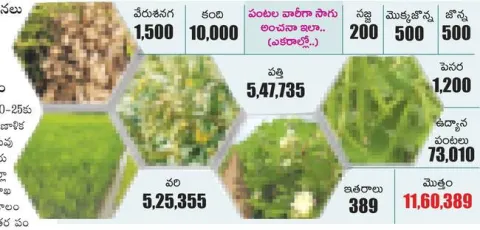 సాగు 