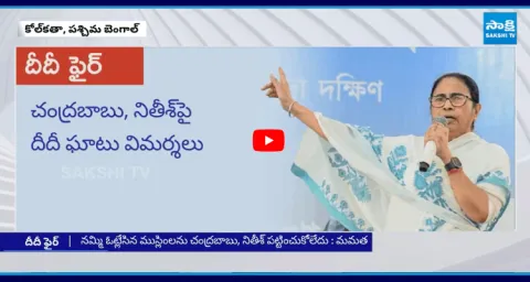 CM Mamata Banerjee Comments On Chandrababu And Nitish Kumar Over Waqf Amendment Act
