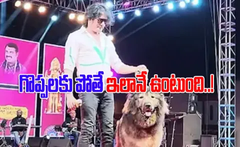 Bengaluru Man Rs 50 Crore Dog Turns ED Raids