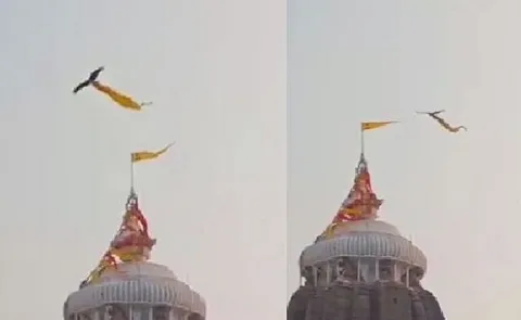 Eagle Flying With ‘Sacred Cloth Over Jagannath Temple Sparks cotroversy