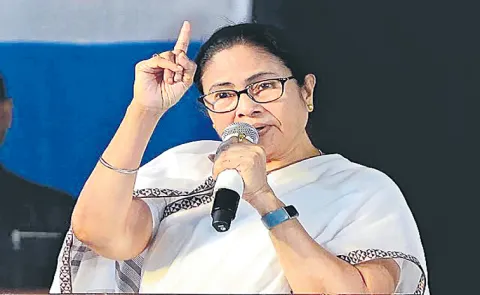West Bengal CM Mamata Banerjee Comments On Chandrababu