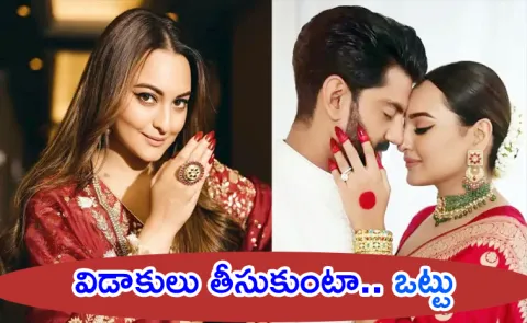 Sonakshi Sinha Hit Back Troll Claiming Her Divorce From Zaheer Iqbal Is No Far