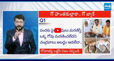 Big Question Special Debate On Tirumala Goshala Incident 