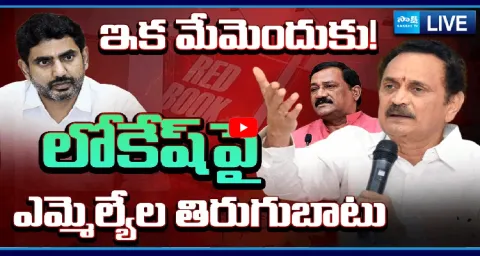TDP MLAs Fire On Nara Lokesh Over Redbook Rule