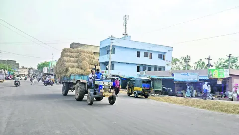 వరి గ