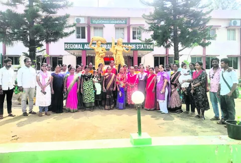 వ్యవసాయంలో గిరి మహిళల పాత్ర కీలకం 