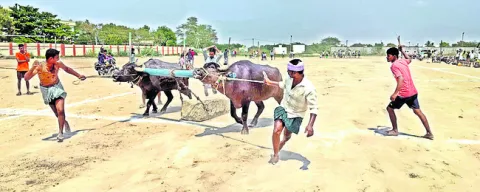 మహిళల