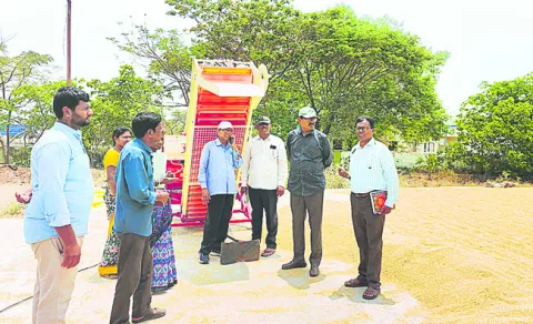 విద్య
