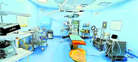 స్పంద
