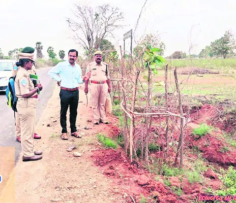 మొక్కల సంరక్షణపై దృష్టి పెట్టండి