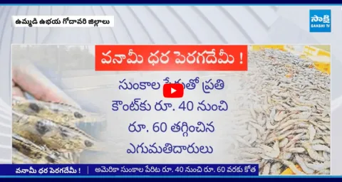 Donald Trump Tariffs Effect On Aqua Farmers In Godavari Districts 6