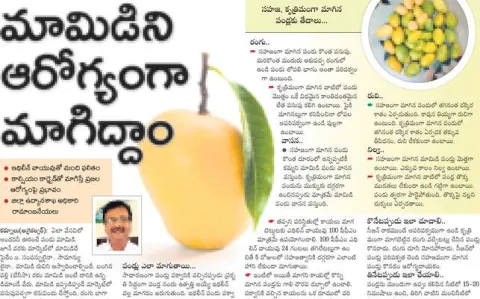 కార్బ