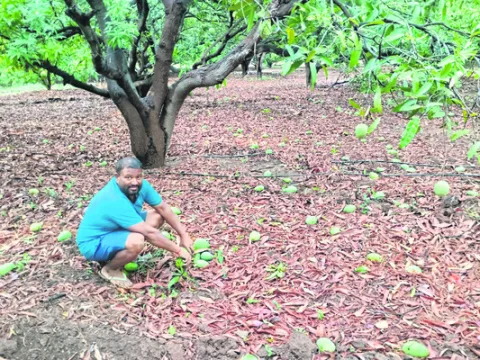 కమ్మర్‌పల్లిలో ఈదురు గాలులు
