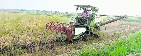 జోరంద